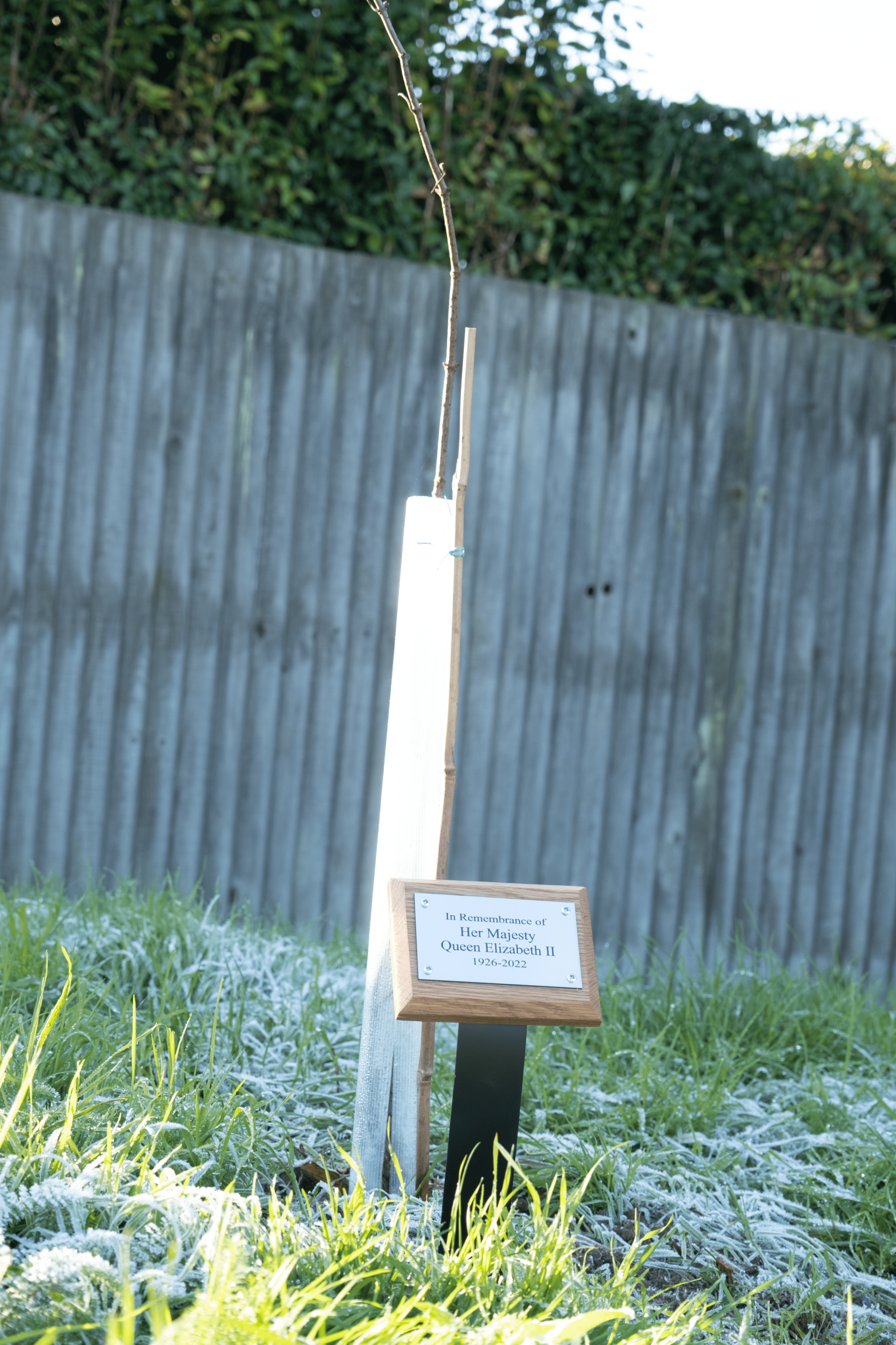 A commemorative plaque for Queen Elizabeth at Highworth Grammar School