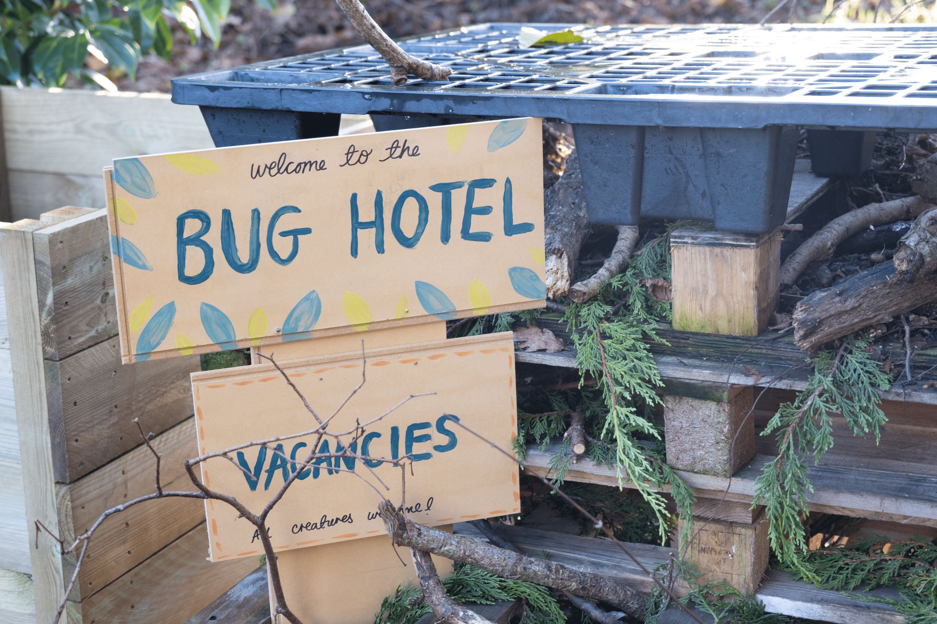 A handmade sign which reads 'Welcome to the bug hotel. Vacancies. All creatures welcome'