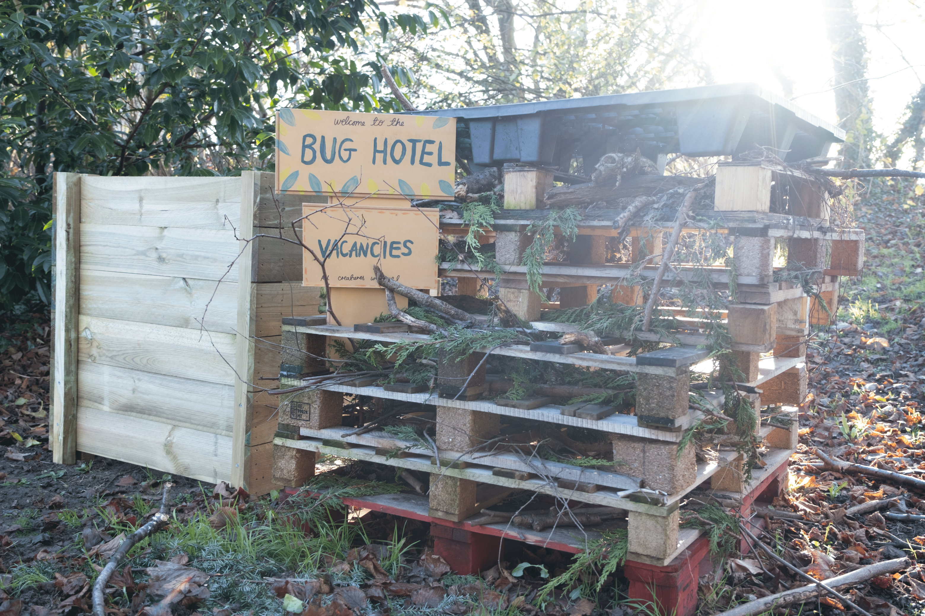 A compost bin and bug hotel at Highworth Grammar School